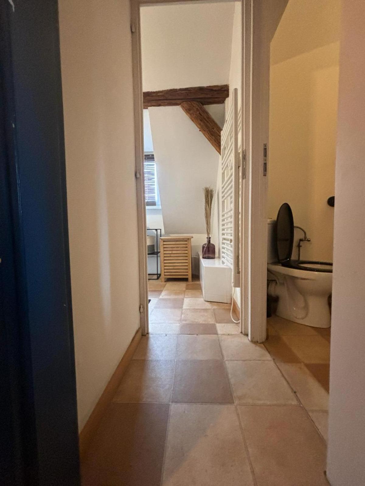Charmant Appartement Proche Strasbourg A Eckwersheim Luaran gambar