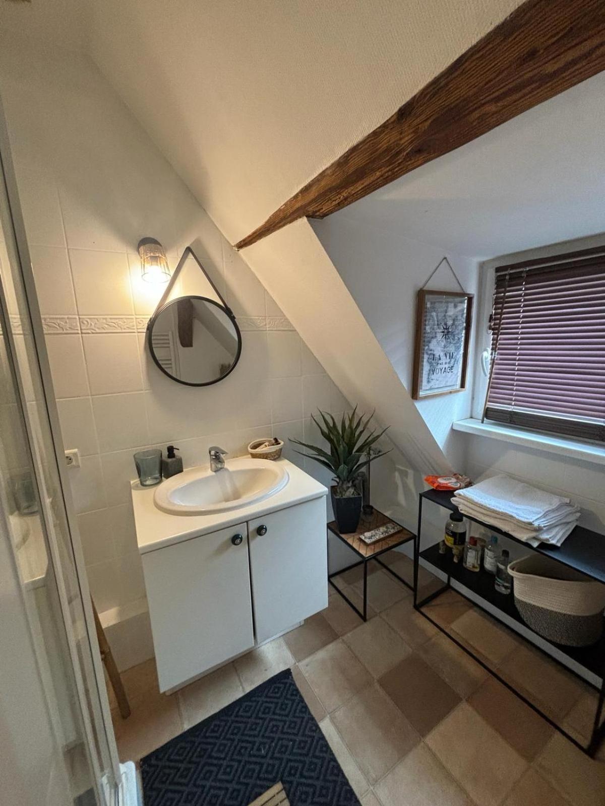 Charmant Appartement Proche Strasbourg A Eckwersheim Luaran gambar
